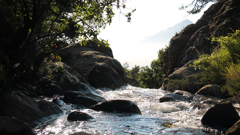 Finding Your Flow